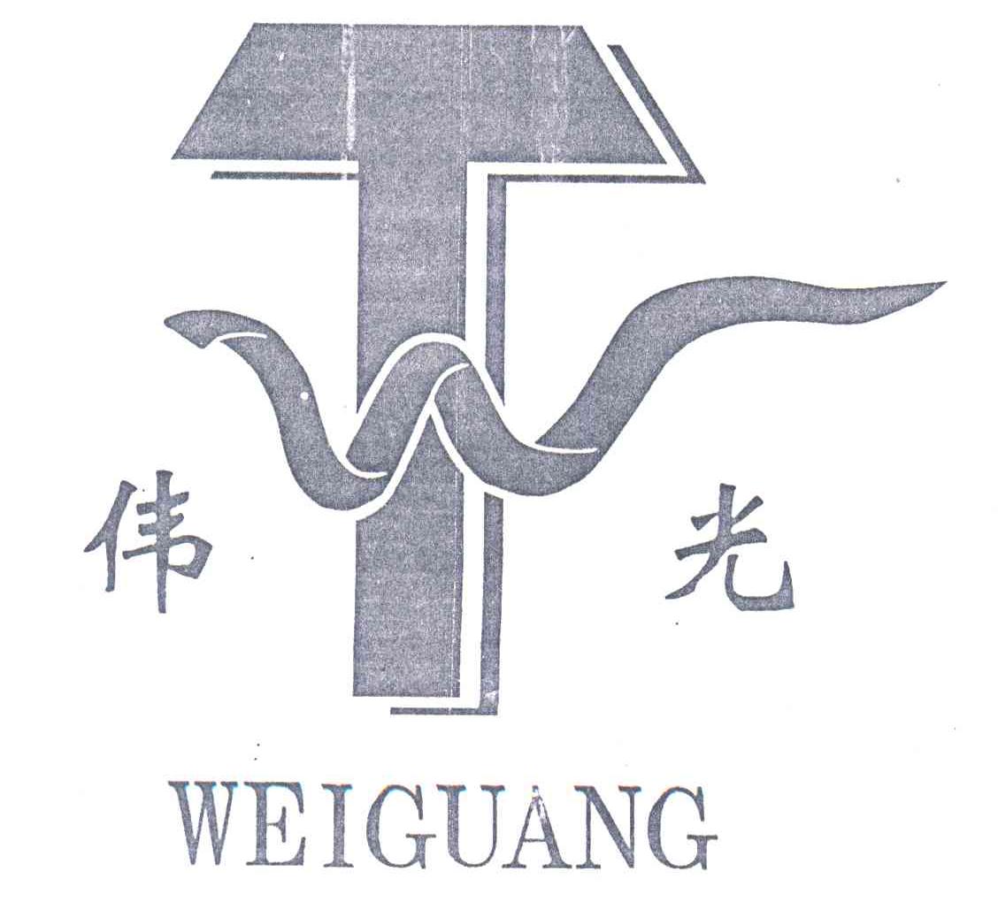 伟光