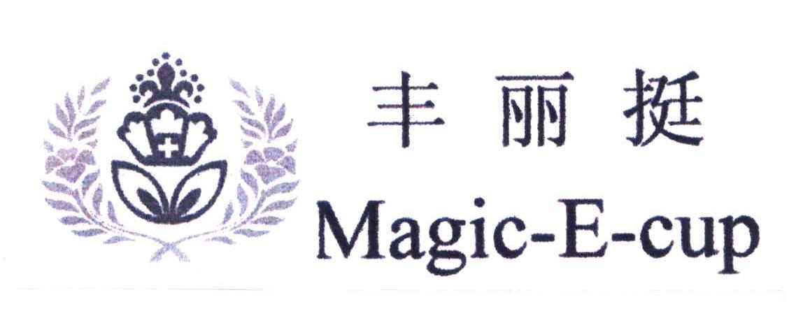 丰丽挺;MAGIC-E-CUP