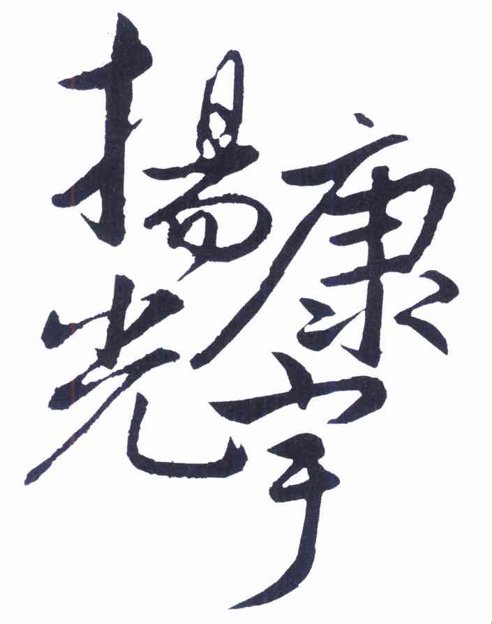 扬康光宇