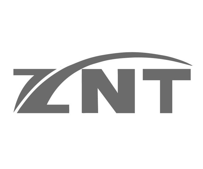 ZNT