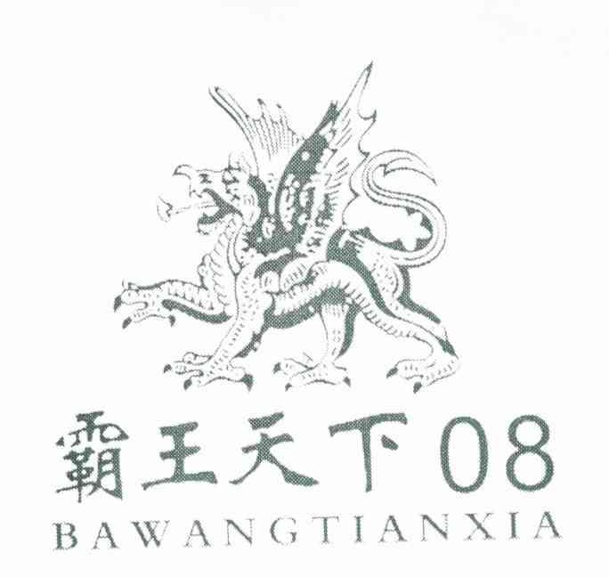 霸王天下;08