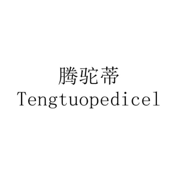 腾驼蒂 TENGTUOPEDICEL