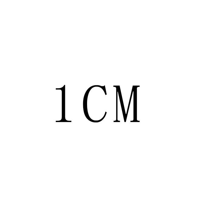 1CM