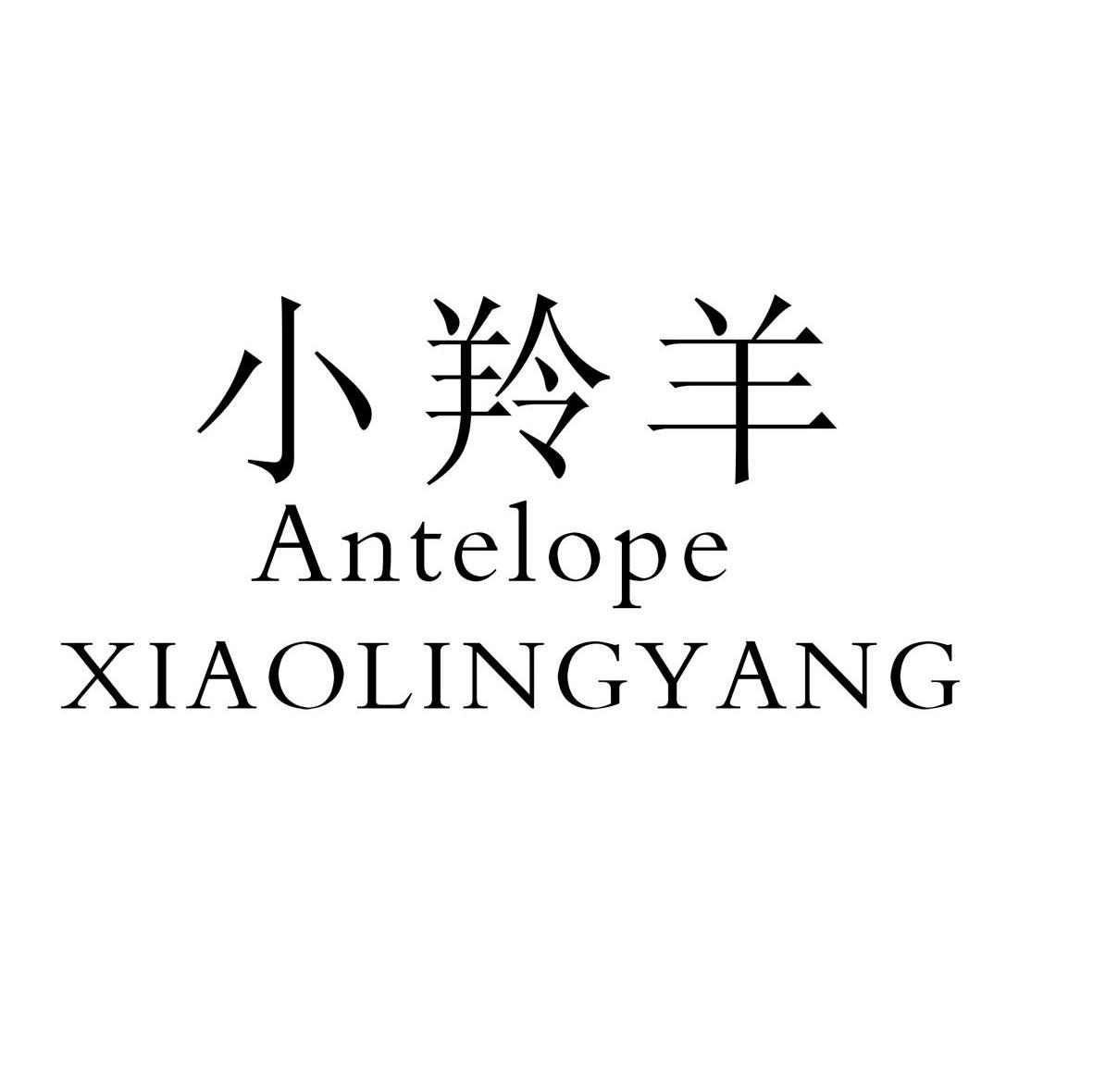 小羚羊 ANTELOPE
