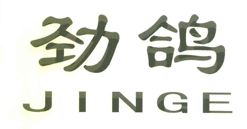 劲鸽