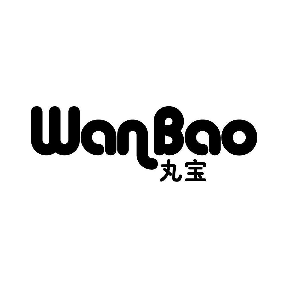 丸宝