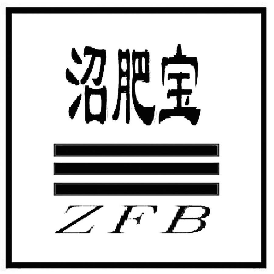沼肥宝 ZFB