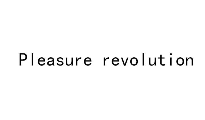 PLEASURE REVOLUTION