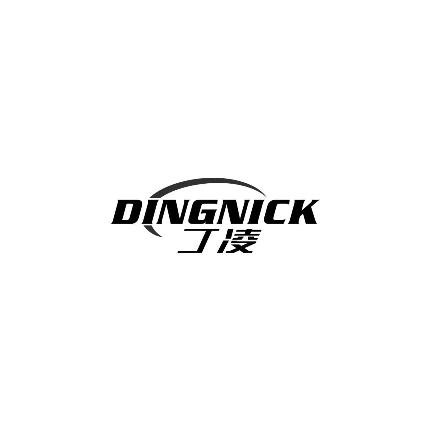 丁凌 DINGNICK