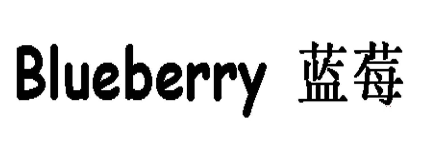 蓝莓 BLUEBERRY