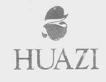 HUAZI