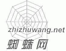 蜘蛛网