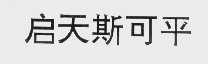 启天斯可平