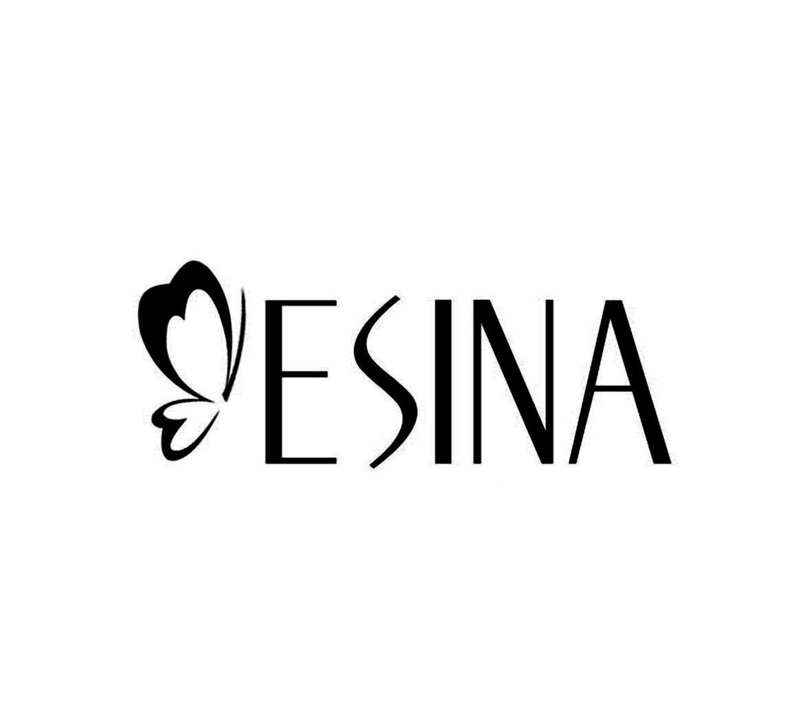 BESINA