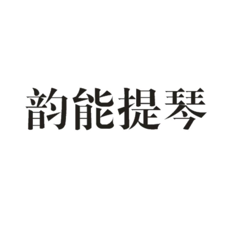 韵能提琴
