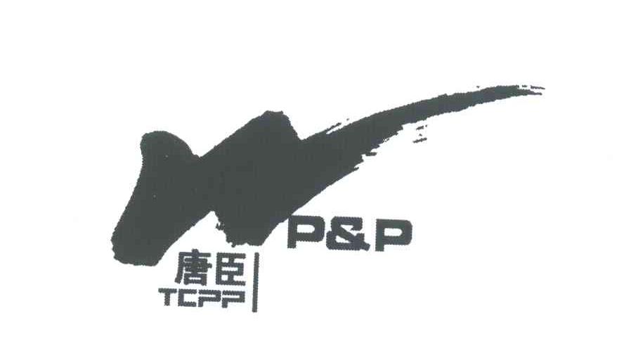 唐臣;TCPP;P&P