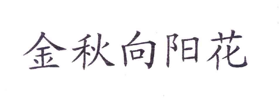 金秋向阳花