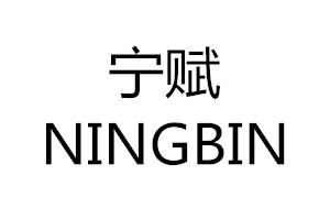 宁赋 NINGBIN