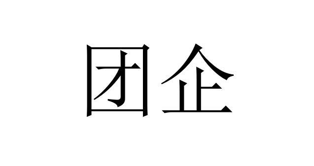 团企