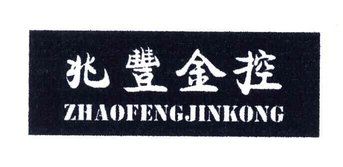 兆丰金控
