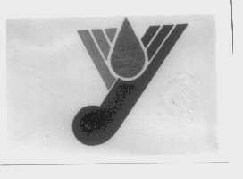 Y