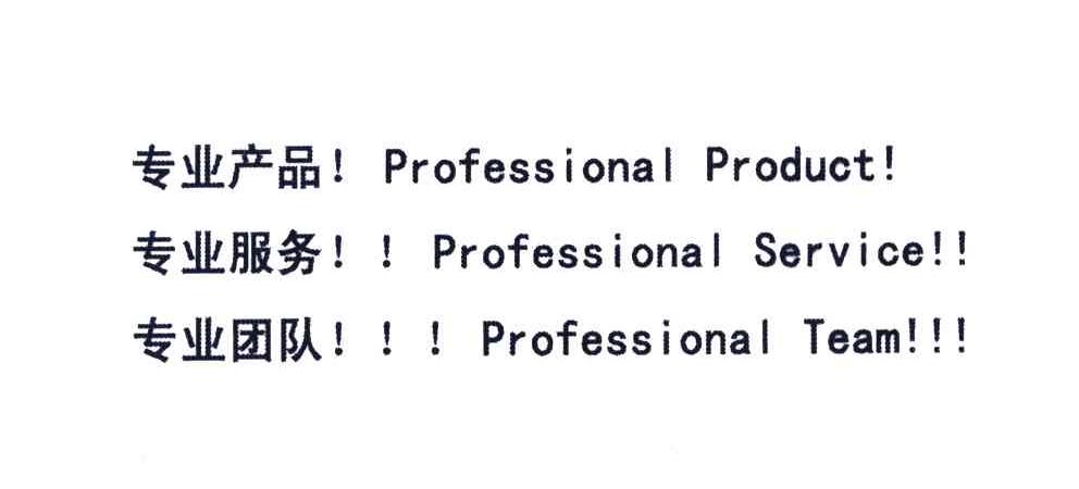 PROFESSIONAL PRODUCT!PROFESSIONAL SERVICE!!PROFESSIONAL TEAM!!!;专业产品专业服务专业团队