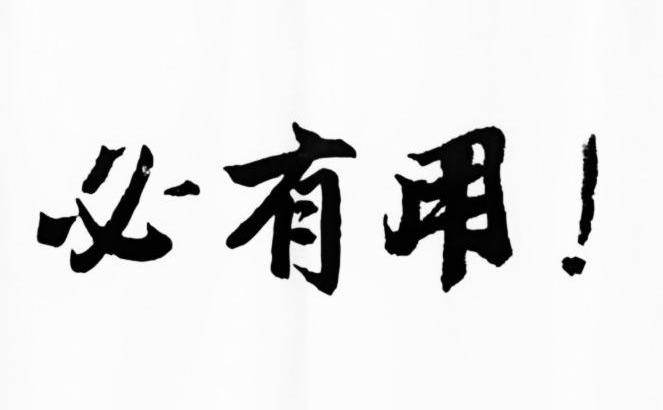 必有用！