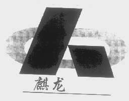 麒龙