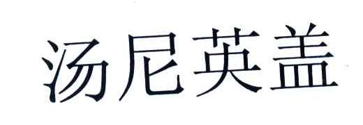 汤尼英盖