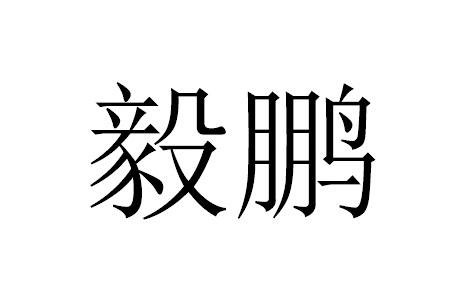 毅鹏