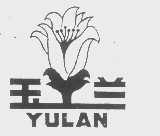 玉兰