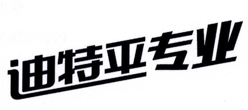 迪特平专业