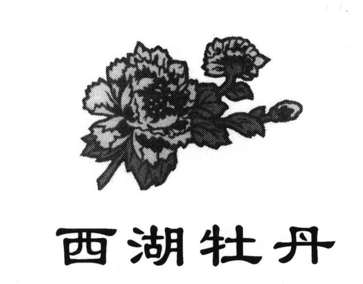 西湖牡丹