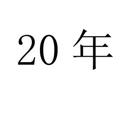 20 年