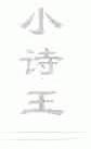 小诗王