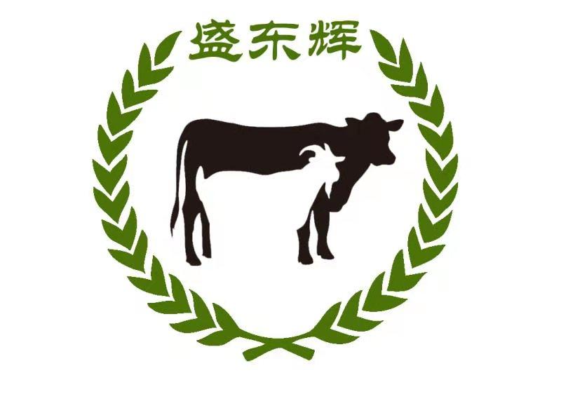 盛东辉