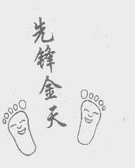 先锋金天