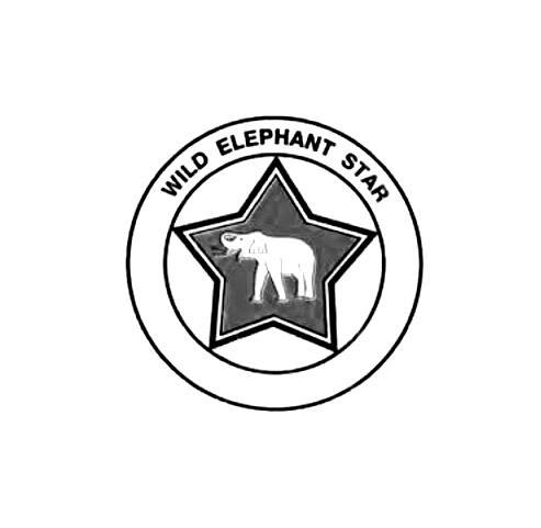 WILD ELEPHANT STAR