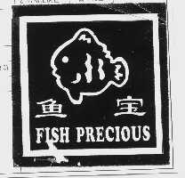 鱼宝   FISH PRECIOUS