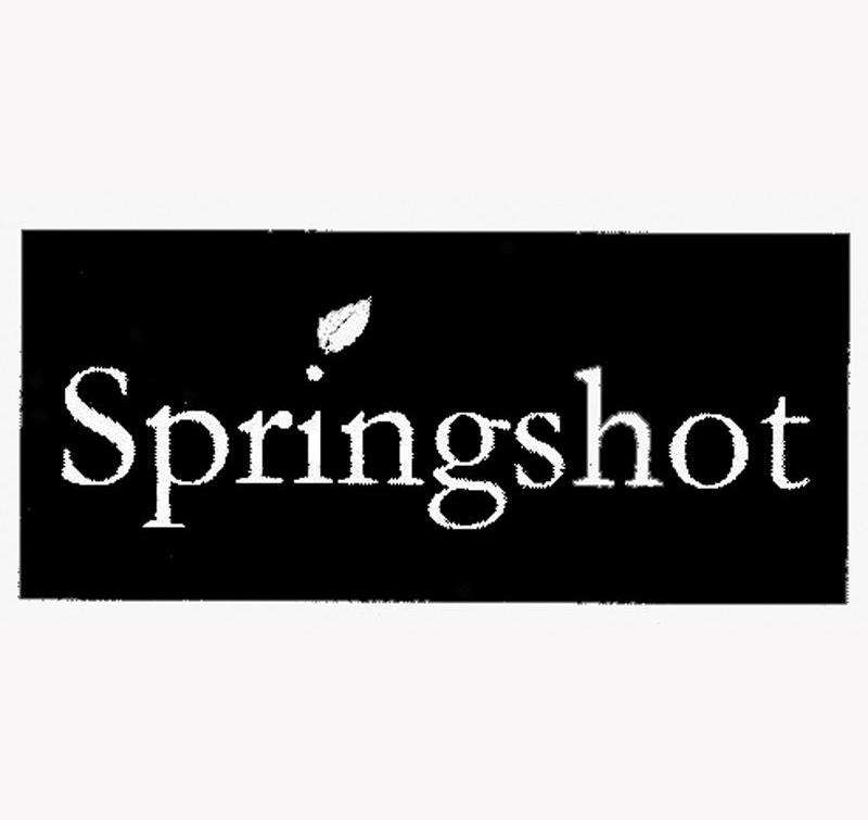 SPRINGSHOT