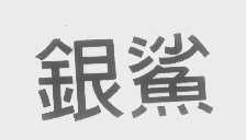 银鲨