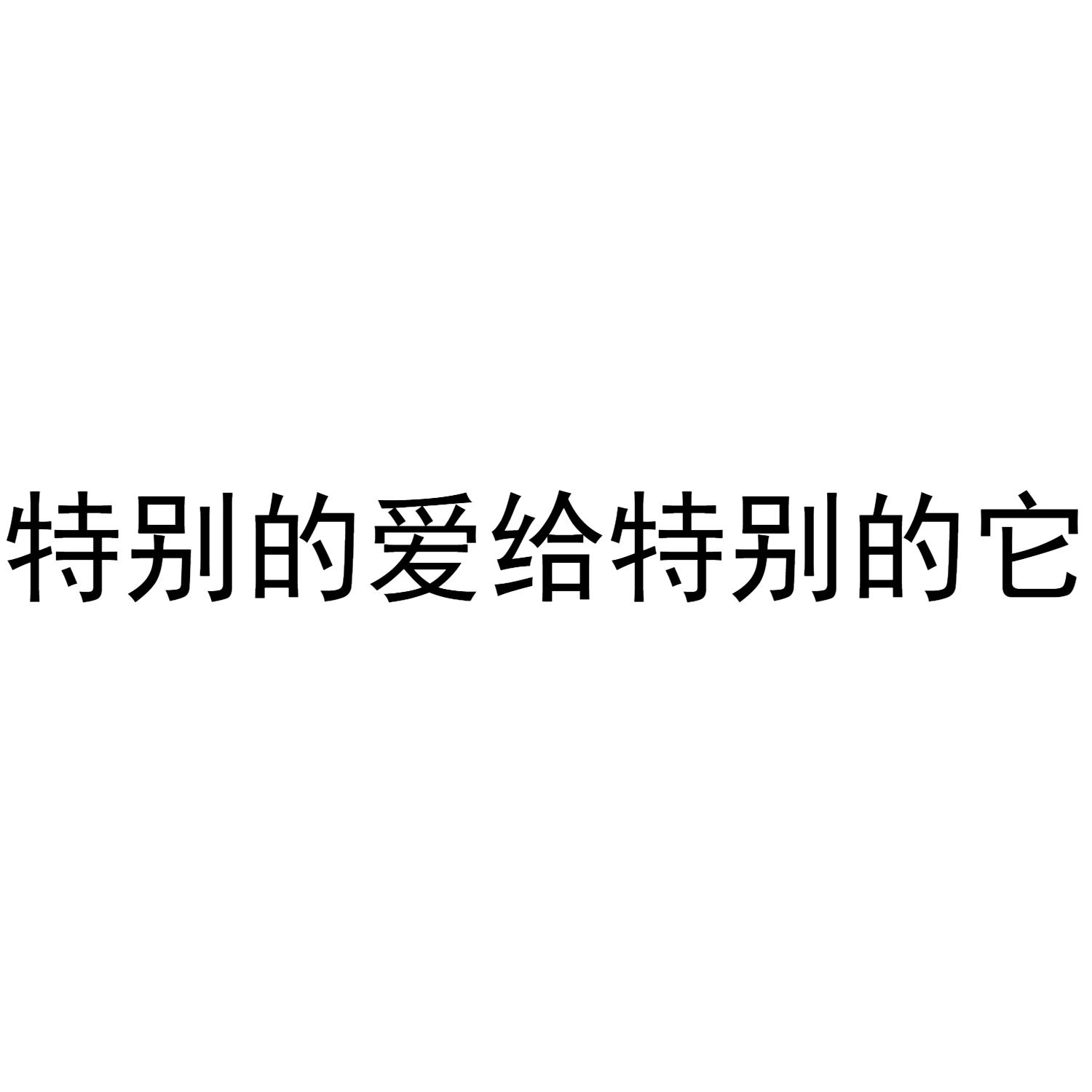 特别的爱给特别的它