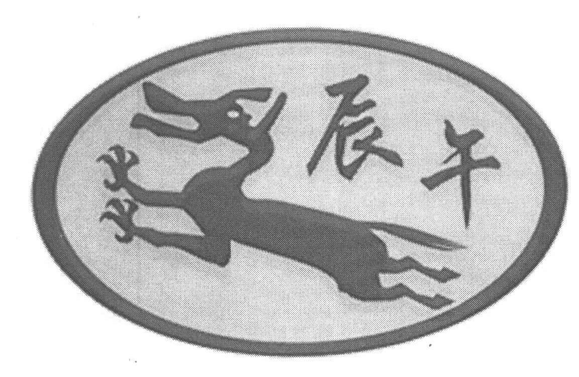 辰午