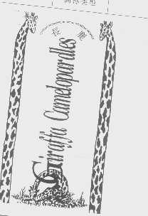 长鹿   GIRAFFA CAMELOPARDLES