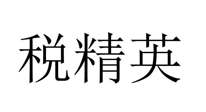 税精英