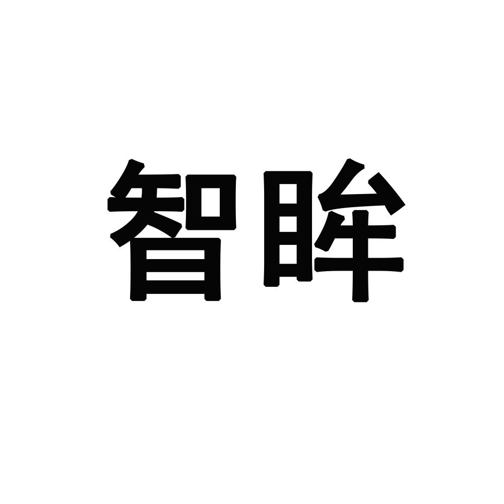 智眸