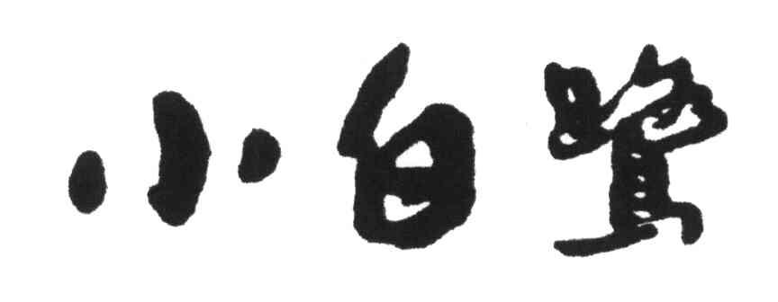 小白鹭