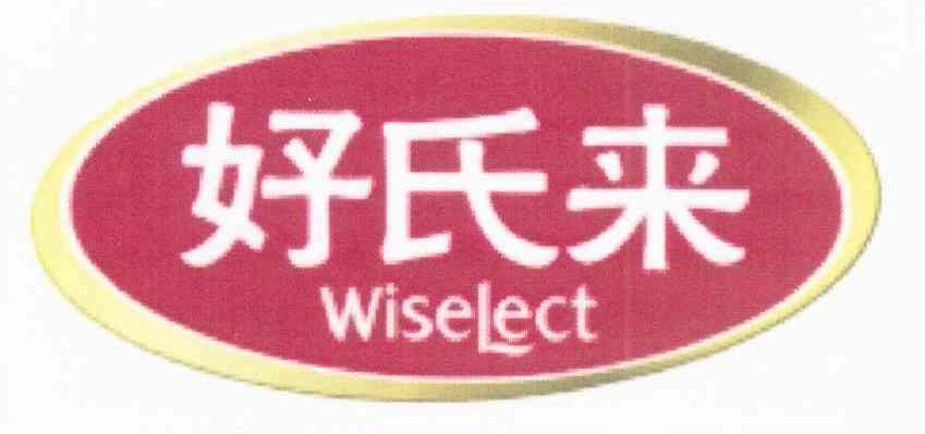 好氏来 WISELECT