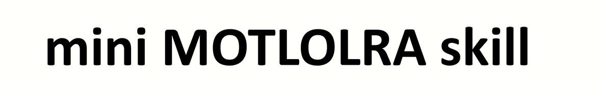 MINI MOTLOLRA SKILL