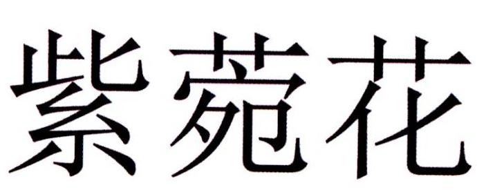 紫菀花